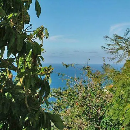 Lovely-apartment-in-a-quiet-location-with-sea-view-and-a-nice-terrace-u105 * La Matanza De Acentejo